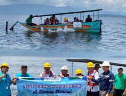 Bupati Monadi dan PT Kerinci Merangin Hydro Restocking Ikan Endemik di Danau Kerinci