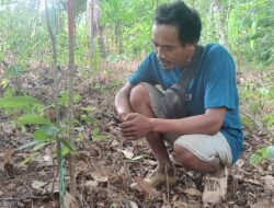 Petani Jadi Garda Terdepan Pulihkan Bukit Tigapuluh, Hutan Tersisa 40 Persen dari 450 Ribu Hektare